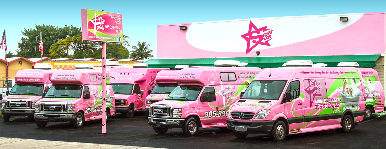 Grooming sales pet mobile